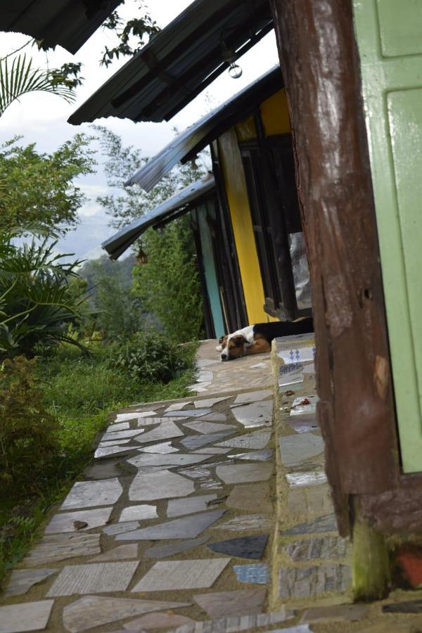 Posadamanduka Eco-Hostel Buenavista  Екстер'єр фото