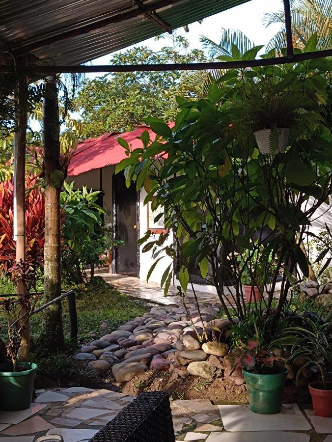 Posadamanduka Eco-Hostel Buenavista  Екстер'єр фото